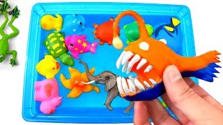 Learn Zoo Animal Names Educational Toys Video For Children [upl. by Bruce]