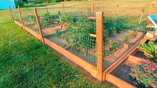 Raised bed garden critter and deer proof vegetablegarden [upl. by Gothart]