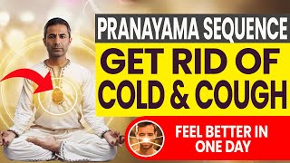 Top 4 Breathing Exercises to Reduce Cough and Cold in One Day  Pranayama Sequence [upl. by Merth]