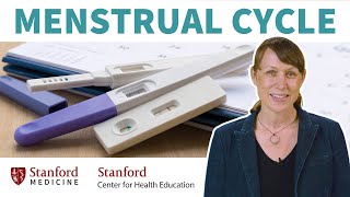 Menstrual Cycle amp Pregnancy Myths Busted by an ObGyn  Stanford [upl. by Ssidnak478]