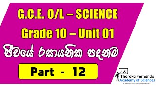 Grade 10  Unit 01  SM  Part 12  එන්සයිම ක්‍රියාකාරීත්වය Function of Enzymes [upl. by Snashall]