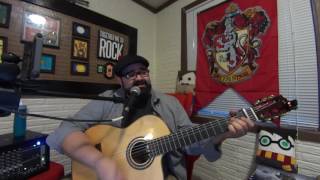 Learn To Fly Acoustic  Foo Fighters  Fernando Ufret [upl. by Kazim721]