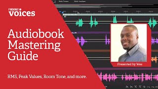 Mastering Your Audiobook An indepth guide with Adobe Audition [upl. by Fafa665]