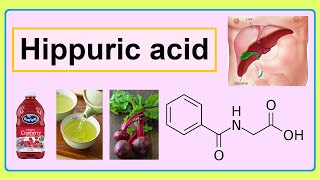 hippuric acid [upl. by Cleasta]