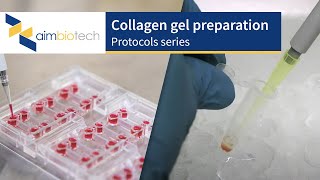 IdentX – Collagen Gel Preparation Protocol [upl. by Anilra]