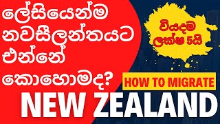 නවසීලන්තයට එන්නේ කොහොමද  How to migrate New Zealand easily  New Zealand Sinhala [upl. by Booth16]