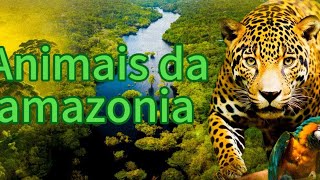 10 Animais Incríveis da Floresta Amazônica que Você Precisa Conhecer [upl. by Isahella917]