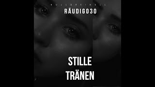 RÄUDIG030  STILLE TRÄNEN HARDTEKK [upl. by Ji]