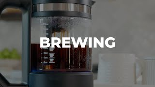 Micro Cafe Brewer Getting Started Brewing [upl. by Kriss]