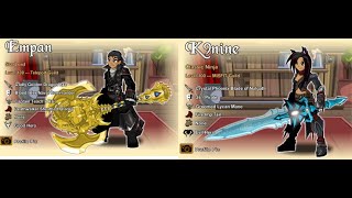 AQW PvP 1vs1 SLSin [upl. by Utley576]