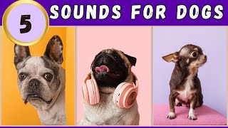 🤔5 Sounds That Tilt Dogs Heads and Make Your Dog Go Crazy [upl. by Acirem335]