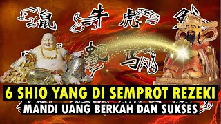 6 SHIO YANG DI SEMPROT REZEKI MANDI UANG BERKAH DAN SUKSES [upl. by Renrew382]