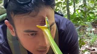 Snake green screen Snake video Snacks recipes Snacks recipes in tamil Snake song MrBeast [upl. by Lanctot]