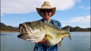 Mexico Bass Fishing  Giants On Lake Comedero [upl. by Nomead]