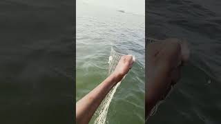 fishing fiish beachfishing fish filefish beach fihing videogama nature fiahing [upl. by Yarahs]