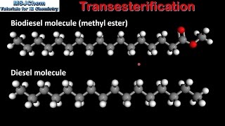 C4 Transesterification SL [upl. by Tatiana715]