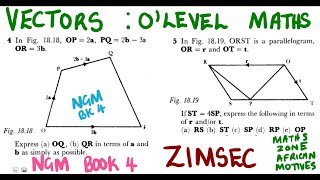 O level Mathematics Vectors NGM BK4 Revision ZIMSEC mathszoneafricanmotives [upl. by Relluf133]