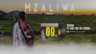 DRIEMO ft CHILE ONE MR ZAMBIA  REBORN Official Audio VisualizerMzaliwa [upl. by Sinnod686]