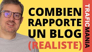 Combien on gagne avec un blog ou une chaine Youtube réaliste [upl. by Say]