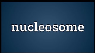 NUCLEOSOMESstructure of nucleosomesfunction of nucleosome [upl. by Ehc]