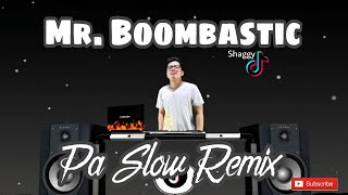 MR BOOMBASTIC PA SLOW REMIX 2022  SHAGGY BASS BOOSTED MUSIC FT DJTANGMIX EXCLUSIVE [upl. by Ahsirtak853]