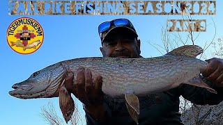 FALL PIKE FISHING SEASON 2024 PART 9 [upl. by Ahtinak452]