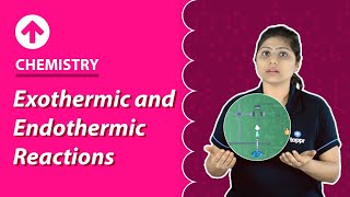 Exothermic and Endothermic Reactions  Chemistry [upl. by Krueger]