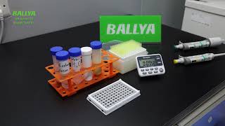 Aflatoxin B1 Rapid Test  Detection of Aflatoxin B1 in Corn  BALLYA [upl. by Ahsiak]