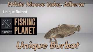 Unique Burbot  White Moose Lake Alberta  Fishing Planet Guide [upl. by Mabel]