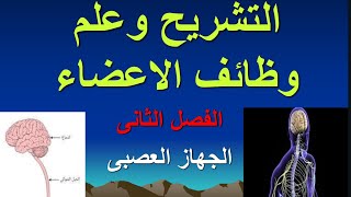 شرح التشريح وعلم وظائف الاعضاء  الجهاز العصبى  اولى مدرسة تمريض  Anatomy and physiology  التمريض [upl. by Hiasi]