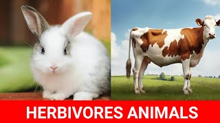 AMAZING HERBIVORES DISCOVER PLANTEATING ANIMALS   LEARN ABOUT HERBIVORES ANIMALS [upl. by Beeck]