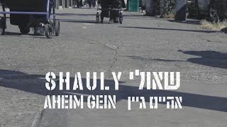 Shauly  Aheim Gein  שאולי  אהיים גיין  ft Moishe’le [upl. by Aserehtairam]