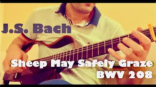 Bach  Sheep may safely graze Guitar arrangement BWV 208 [upl. by Ahsiem]