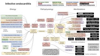 Infective endocarditis mechanism of disease [upl. by Nairrod]