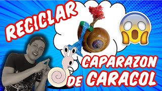 RECICLAJE DE CAPARAZÓN DE CARACOL [upl. by Enilorac]