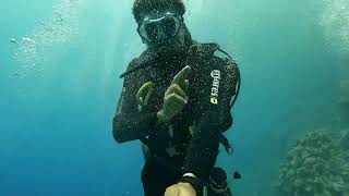 Diving Marsa alam Egypt red sea port ghalib picalbatros sands oasis and the palace 2023 4k [upl. by Beaner357]