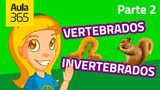 Animales Vertebrados e Invertebrados Parte 2  Videos Educativos Aula365 [upl. by Neel]