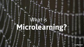 Microlearning at Northpower [upl. by Saraiya]