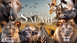 African Safari 4K  Amazing Wildlife of African Savanna  Scenic Relaxation Film [upl. by Akoyin311]