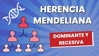 Herencia mendeliana autosómica explicada FÁCILMENTE [upl. by Nolubez]