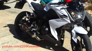 Akrapovic Carbon Exhaust SLIP ON For Kawasaki Z250 HD [upl. by Idak]