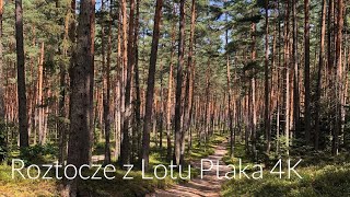 Roztocze Polska z lotu ptaka 4K [upl. by Anyahs]