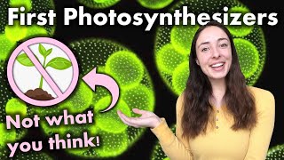 Evolution of Photosynthesis Were Anoxygenic or Oxygenic Phototrophs First  GEO GIRL [upl. by Bronk]