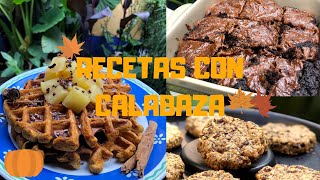 3 RECETAS CON CALABAZA  Recetas de Otoño [upl. by Market620]