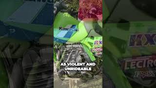 Unleashing the Beast Kawasakis Revolutionary KX500 Motocross Bike [upl. by Ilajna]