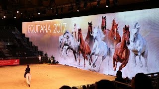 Highlights from Equitana  The Largest Equine Trade Fair in the World [upl. by Oirasec]