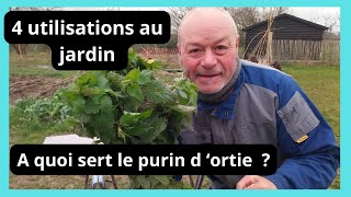 A quoi sert le purin d  ortie  4 utilisations au jardin [upl. by Elockcin]