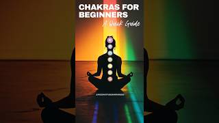 CHAKRAS for BEGINNERS – A Quick Guide [upl. by Ennoid795]