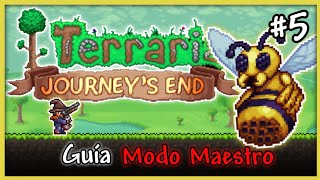 Terraria 14 MODO MAESTRO contra la Abeja Reina GUÍA [upl. by Olsewski442]