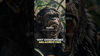 Why Chimpanzees Are Horrifying joerogan storytime chimpanzee [upl. by Ainotna659]